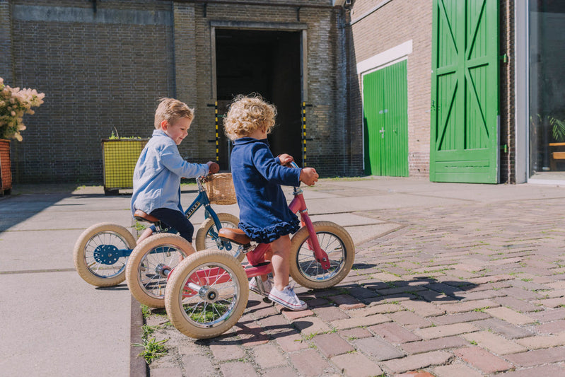 Trybike | Tricicleta Vintage din Otel Fara Pedale | Roz